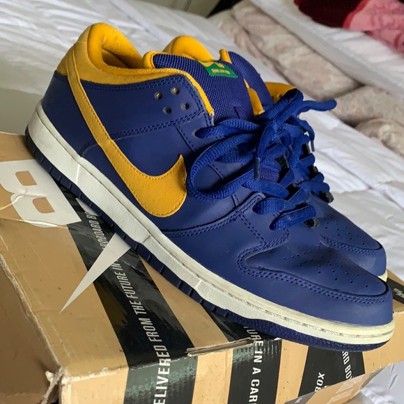 Nike Other - Nike SB Dunk Low